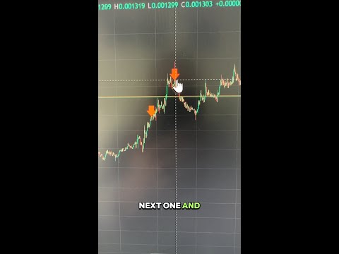 I Made $1,000 on LTC