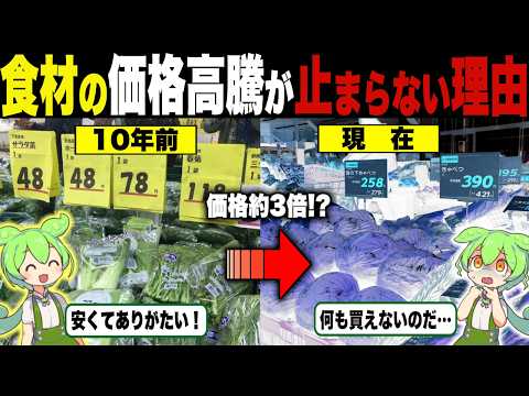 庶民崩壊！？物価高騰で野菜や魚が高くなる理由【ずんだもん＆ゆっくり解説】 1