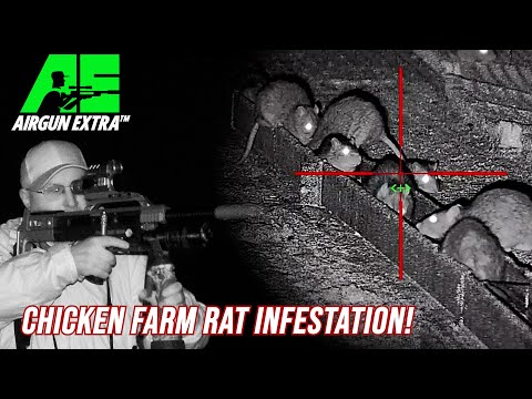 Airgun Extra | Farmyard rat infestation with DNT Thermnight | Bisley Shooting Mat review