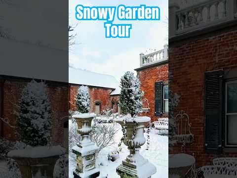 Magical Snowy Garden Tour❄️🌸#garden #flowers