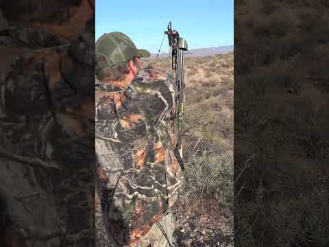 Javelina DROPPED IN HIS TRACKS! (Insane bow shot)