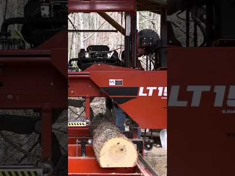 #shortvideo Sawing 2nd Slab from 3rd Poplar Log from Hurricane Helene #woodworking