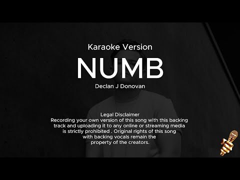 Declan J Donovan – Numb (Karaoke Version)