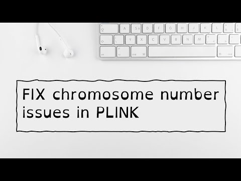 How to fix chromosome number problems in PLINK