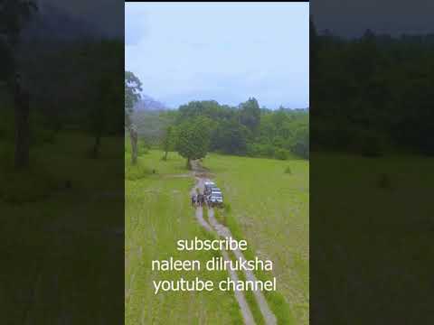 අනන්තයට යමු පියඹා......#shorts #viral #sl_official #drone #mavicpro