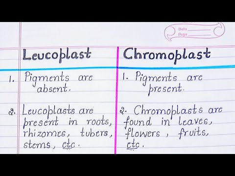 Difference between Leucoplast and Chromoplast