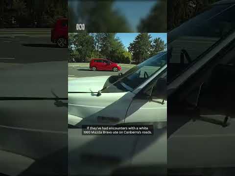 Man climbs on back of moving ute in dramatic road rage footage | ABC News