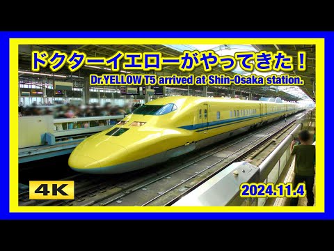 大興奮 !!! ドクターイエローがやってきた！のぞみ検測 新大阪駅 2024.11.4【4K】