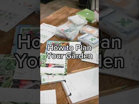 How to Plan Your Garden