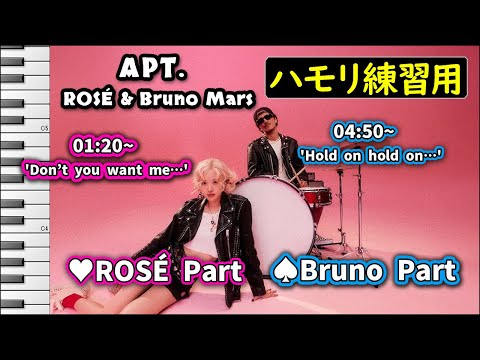 APT. / ROSÉ & Bruno Mars (ハモリ練習用) 歌詞付き音程バー有り