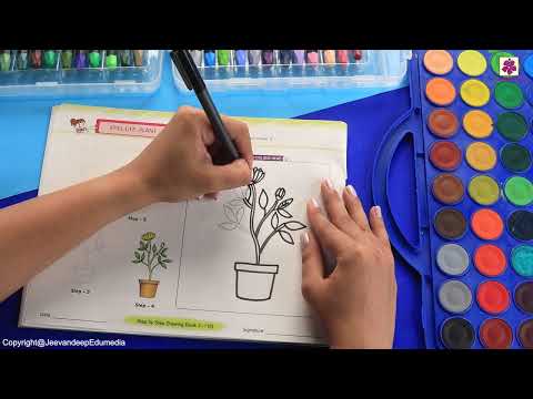 Still Life Plant | Step by Step Drawing Book 3 | Periwinkle