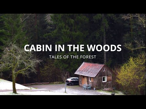 Our Cabin in the Black Forest | Rural Retreat | # 12