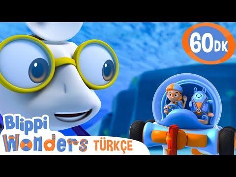 Köpekbalığı Dişi | Blippi Türkçe - Çocuklar için Eğitici Videolar