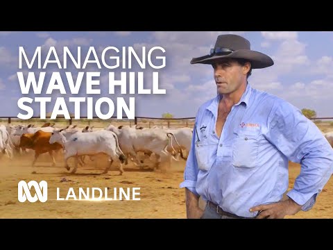 New wave of young talent, strong leadership shapes future of Wave Hill cattle station | ABC Landline