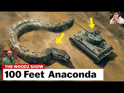 100 Feet Long Anaconda❗❗😱  World's Largest Snake