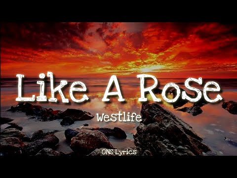 A1 - Like A Rose (Lyrics)