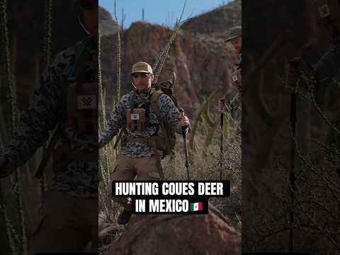 Coues Deer Hunt in Sonora Mexico! #gohunt