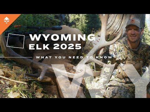 Wyoming Elk Hunting Tips That Will Change Your Season! | WYNTK