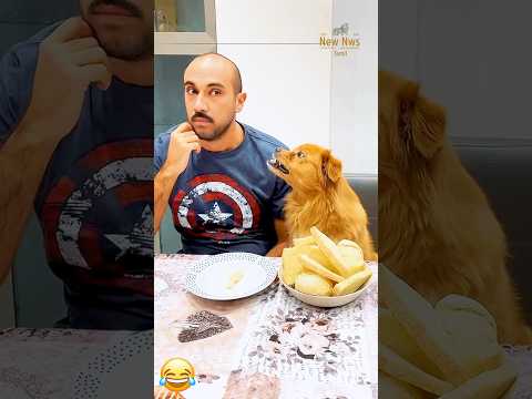 Sathyaraj Deefake with Funny Dog #sathyaraj #funnydog #funnydogs #dog #doglover #pets #deepfake #fyp