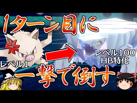 【ポケモン剣盾】レベル1がHB特化レベル100を1ターン目に一撃で倒す【ポケモンORAS】