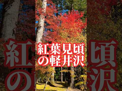 今まさに！紅葉🍁見頃ですよ！#紅葉狩り #軽井沢町