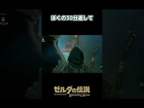 このゲーム自由度高いって聞いてたんだけど - ゼルダの伝説 BotW #Shorts #ゲーム実況