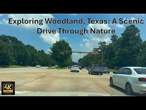 Exploring Woodland, Texas: A Scenic Drive Through Nature | Drive Time #drivingvideos #roadrage