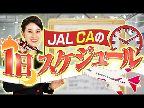 JAL CAの1日はどんな感じ？スケジュールを公開！～国際線編～