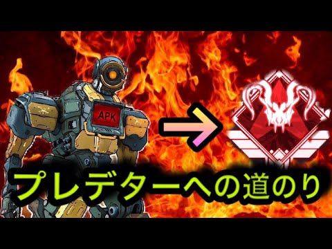 ［apex］プレデター目指す