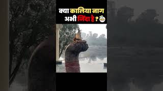 Kaliya Naag Temple mystery | क्या कालिया नाग अभी जिंदा है ? | Shree Krishna | #trendingshorts