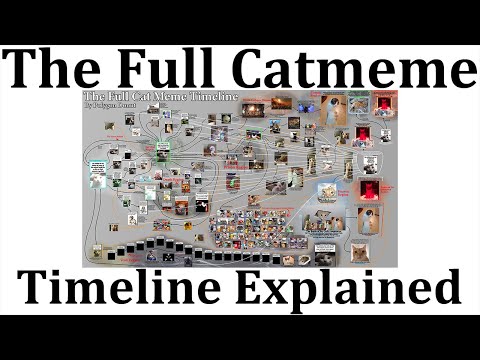 The Full Catmeme Timeline Explained