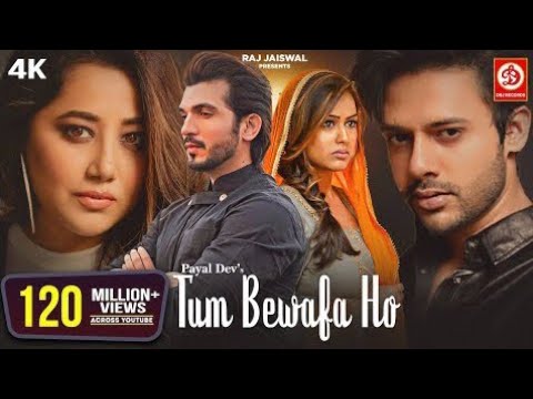 Tum Bewafa Ho (Official Video) Payal Dev,Stebin Ben,Arjun Bijlani,Nia Sharma,Navjit B, Raj Jaiswal