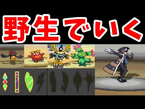 野生ポケモン（バッジ３個）でシングルトレインのノボリを倒せるのか？【ゆっくり実況】【ポケモンBW】