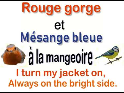 Rouge Gorge et Megeve bleue à la mangeoire