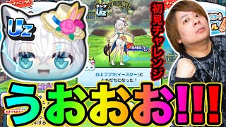 ぷにぷに「UZフブキイースターGETまで!!」今回のイベはおはじきも少し攻略しやすい!?【妖怪ウォッチぷにぷに】  Yo-kai Watch   part1738 とーまゲーム