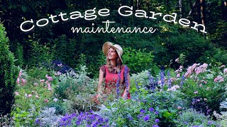 Monthly Maintenance in Our Cottage Garden (Zone 5a)