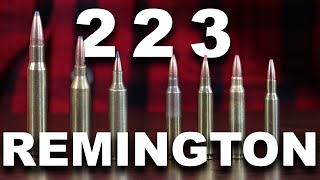 What Can the 223 Remington Really Do?