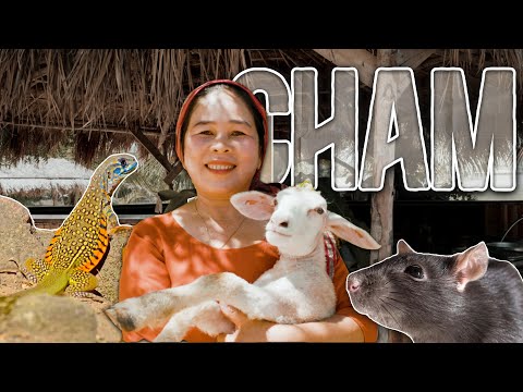 Forgotten Cuisine: The Extreme Diet of Vietnam’s Cham People