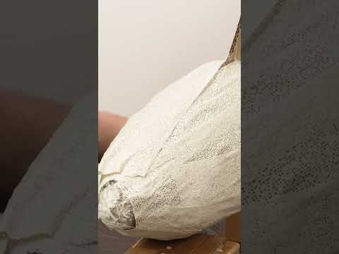 How to sculpt a shark with plaster wrap