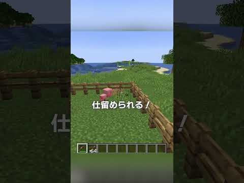 【ランキング】効果付きの矢の使い道【マイクラ豆知識 解説 裏技】