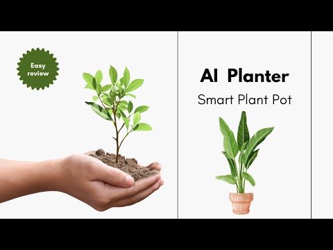 Smart Plant Pot AI Smart Planter Robot Indoor Decoration Planter Water/Light/Temperature Sensor