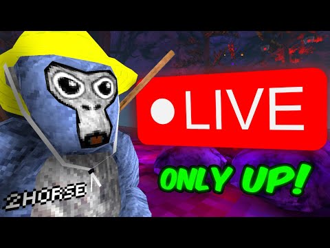 Only Up In GORILLA TAG! (Playing With YOU)