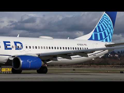 United Airlines Boeing 737-800