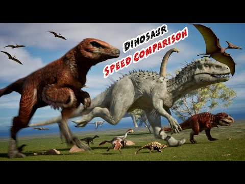 Dinosaur Speed Showdown in 3d |  Dinosaur Speed Showdown | Back to the past