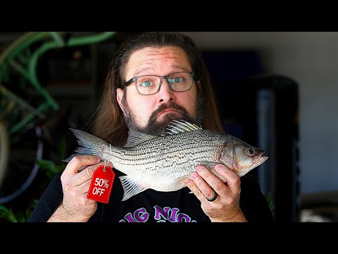 Can I Taxidermy a Grocery Store Fish?