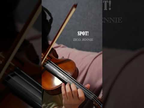 SPOT! - ZICO, JENNIE (Violin Cover)