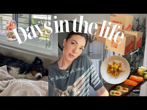 Days in the life: busy days, are we moving? | Ryanne Darr Vlogs