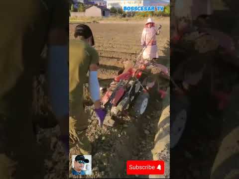 Practical Farming Machine #farming #satisfying #agriculture #farmingmachines #farmingtips #shorts