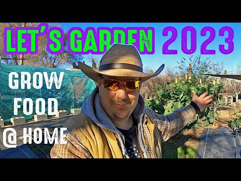 What's Growing On In The Garden? Winter Gardening Updates 2023!