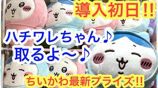 【ちいかわ】ハチワレパジャマBIGぬいぐるみ導入初日チャレンジ！！ウワワタークタク・・・チャオ・・・